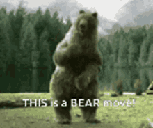 Bear Moves Dancing GIF
