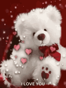 hearts love bear happy valentines day teddy bear