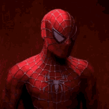 What Peter Parker GIF - What Peter Parker Marvel GIFs