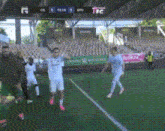 Marcus And Martinus Goal GIF - Marcus And Martinus Goal Twins GIFs