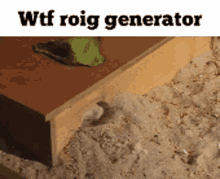 roingus generator