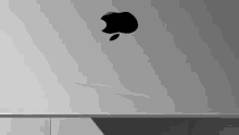 Apple Apple Mac GIF