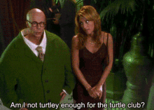 Master Of Disguise Turtle GIF