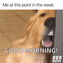 a dog is standing next to a door with its mouth open .
