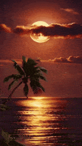 Good Night Images New 2023 GIF