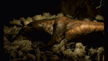 Cynodont Walking With Dinosaurs GIF