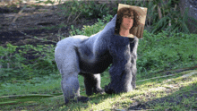 a gorilla with a picture of a young man on its back