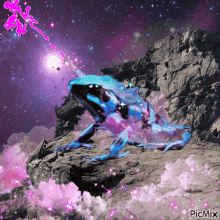 unicorn unicorn frog magic magical space