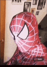 Barry Bink Spiderman GIF - Barry Bink Spiderman GIFs