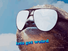 Lets Get Weird Sloth GIF - Lets Get Weird Sloth GIFs
