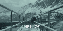 Hello Dinosaur GIF - Hello Dinosaur GIFs