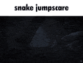 Mgs3 Snake Jumpscare GIF - Mgs3 Snake Jumpscare GIFs
