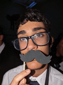 a boy wearing glasses and a fake mustache