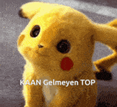 Pikachu Kaan GIF - Pikachu Kaan GIFs