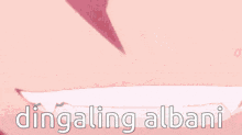 a close up of a person 's eyes with the words " dingaling albani " written below them