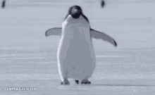 Penguin Happy GIF - Penguin Happy Walk GIFs