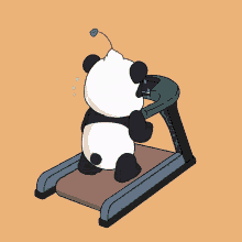 Treadmill Panda GIF