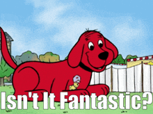 a cartoon of a red dog with the words isn t it fantastic