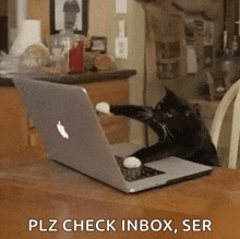 a cat is playing with an apple laptop computer
