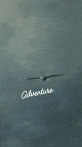 a poster for the adventure universe community has an eagle on it