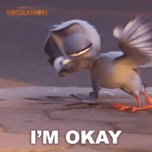 I'M Okay Pigeon GIF - I'M Okay Pigeon Awkwafina GIFs