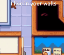 i live in your walls
