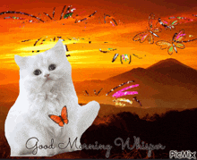 a picture of a cat with a butterfly and the words " good morning whisper "