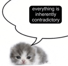 a kitten with a speech bubble that says everything is inherently contradictory .