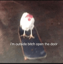 a chicken on a skateboard with the words i 'm outside bitch open the door below it