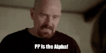 Plooshies Plooshy Points GIF - Plooshies Plooshy Points Pp Is Alpha GIFs