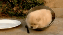 Trying To Get Out Of Bed In The Morning GIF - Puppy Adorable Struggling GIFs
