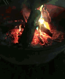 Fire Burning Fire GIF