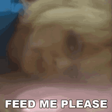 Feed Me Please Debbie Harry GIF - Feed Me Please Debbie Harry Blondie GIFs