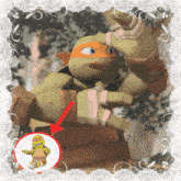 a picture of a turtle with a red arrow pointing to him