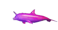 Sabrina Carpenter Dolphin Sticker - Sabrina Carpenter Dolphin Pink Stickers