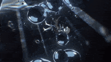 a close up of bubbles in a dark water