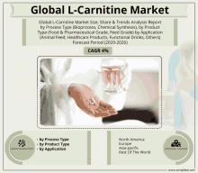 Global L Carnitine Market GIF