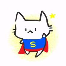animal cat kitty cute superman