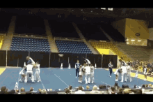 Kentucky 2013 Basket Tosses GIF - Cheer Pep Squad Cheerdancing GIFs