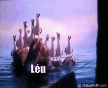 Leu Nemo Leu GIF