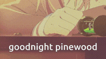 a drawing of a person holding a skateboard and the words goodnight pinewood