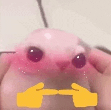 a close up of a person holding a pink cat with a yellow hand pointing at it .
