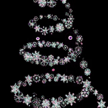 Christmas Tree Xmas Tree GIF - Christmas Tree Xmas Tree Christmas GIFs