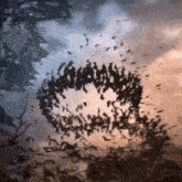 a bunch of birds are flying in a circle in the sky with trees in the background