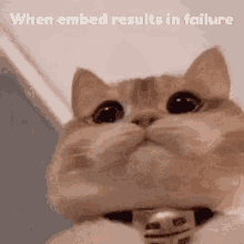 sofcat embed fail embed failure embedded fail