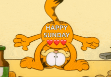 Garfield Funny GIF - Garfield Funny GIFs