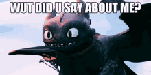 How To Train Your Dragon Toothless GIF - How To Train Your Dragon Toothless Wut Did U Say About Me GIFs