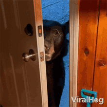 Closing The Door Viralhog GIF - Closing The Door Viralhog Goodbye GIFs
