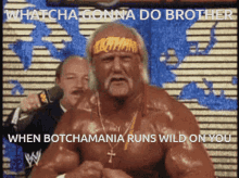 Hogan Botchamania GIF