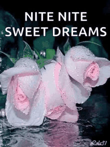 Nite Nite Sweet Dreams GIF - Nite Nite Sweet Dreams Sparkles GIFs